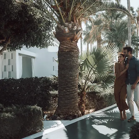 Mykonos Blanc - Preferred & 오르노스