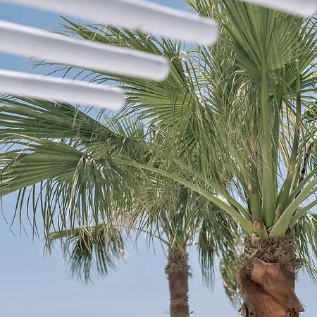 호텔 Mykonos Blanc - Preferred &