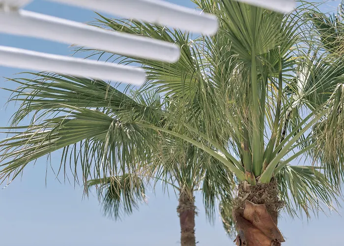 Ξενοδοχείο Mykonos Blanc - Preferred &